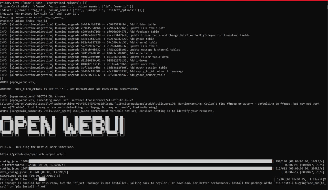 Open WebUI и BotHub: полный контроль и кастомизация вашего AI-интерфейса